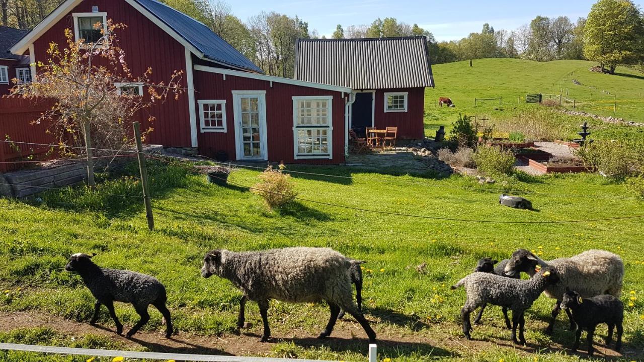 Sjoebacken Gard Bed & Breakfast Lerdala Luaran gambar